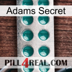 Adams Secret dapoxetine1
